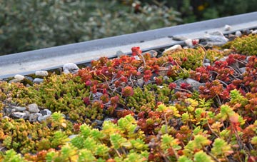 the cost of Ring O Bells green roof installation